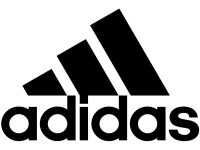 dt 6
